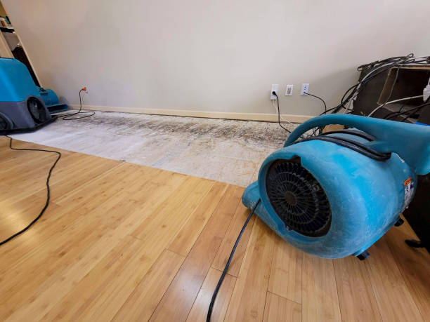 Professional Structural Drying technician working in Virginia, IL